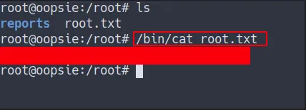 root flag