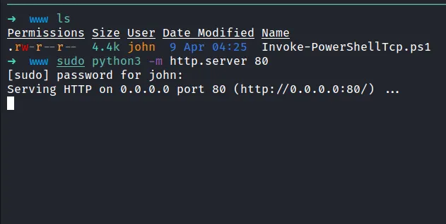 serve python server