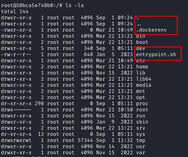 rooted in docker
