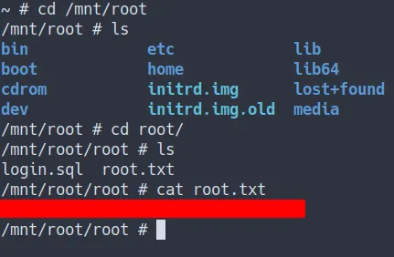 root flag