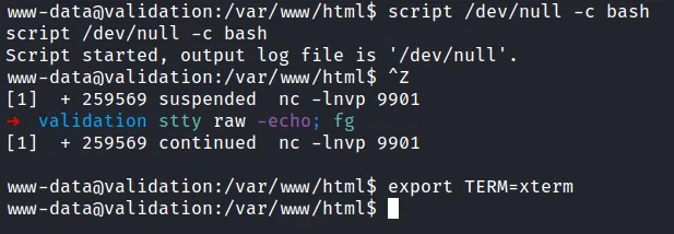 shell as www-data