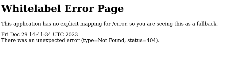 Spring Boot error